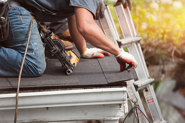 Roof Gutter Cleaning in Hialeah Gardens, FL