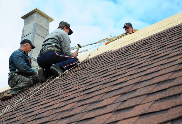 Quick and Trustworthy Emergency Roof Repair Services in Hialeah Gardens, FL